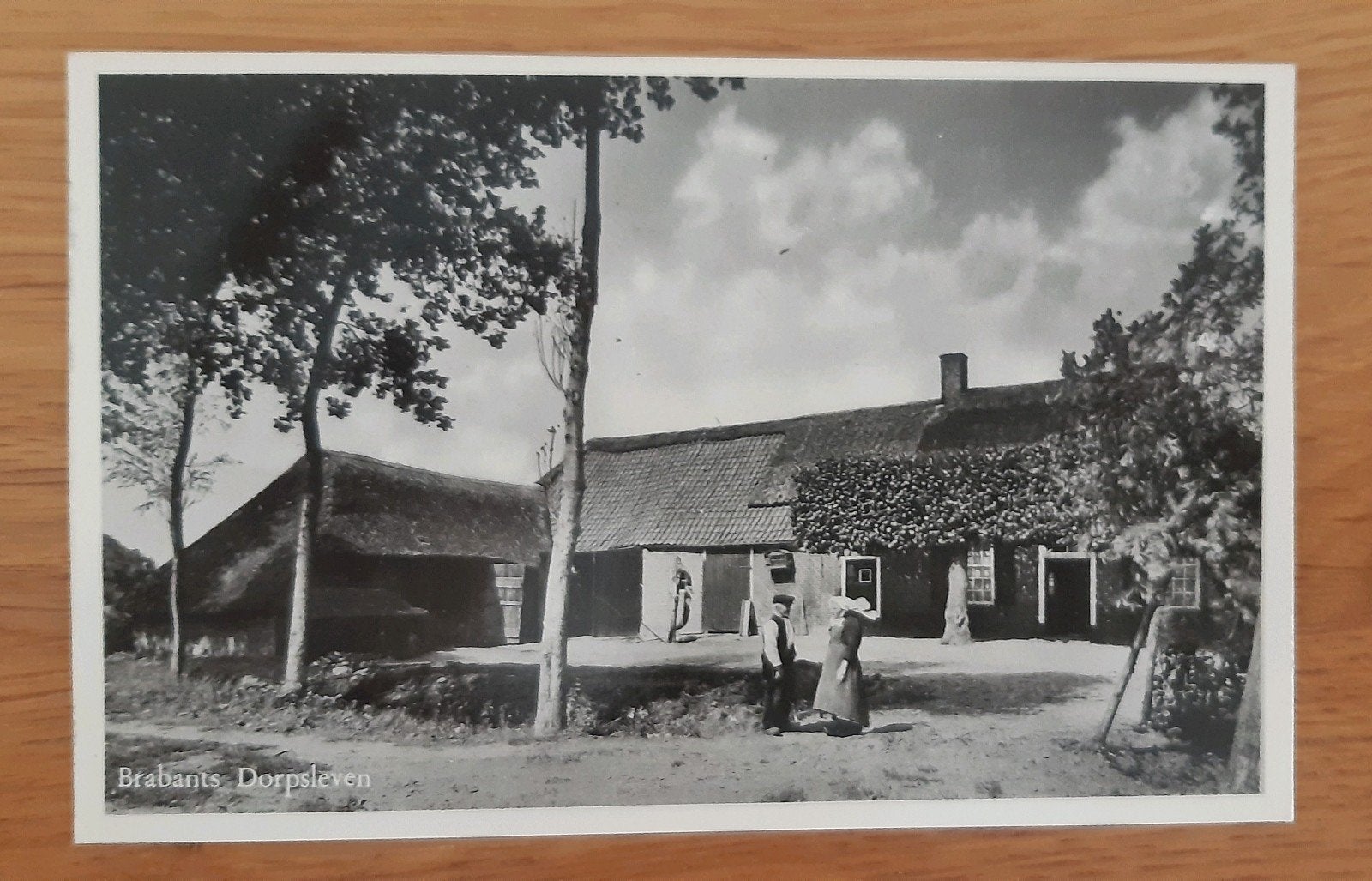 Brabants Dorpsleven uitg Rembrandt, Ophalen of Verzenden, 1940 tot 1960, Noord-Brabant