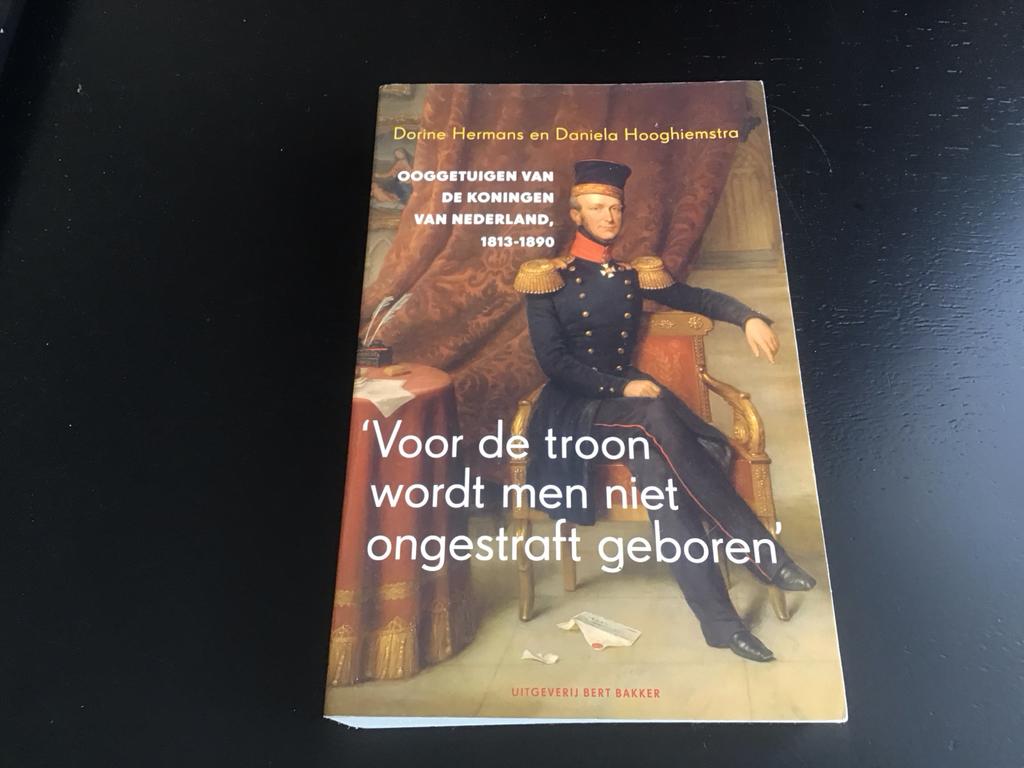 Ooggetuigen van de Koningen van Nederland 1813-1890, Boeken, Ophalen of Verzenden, Zo goed als nieuw, Politiek