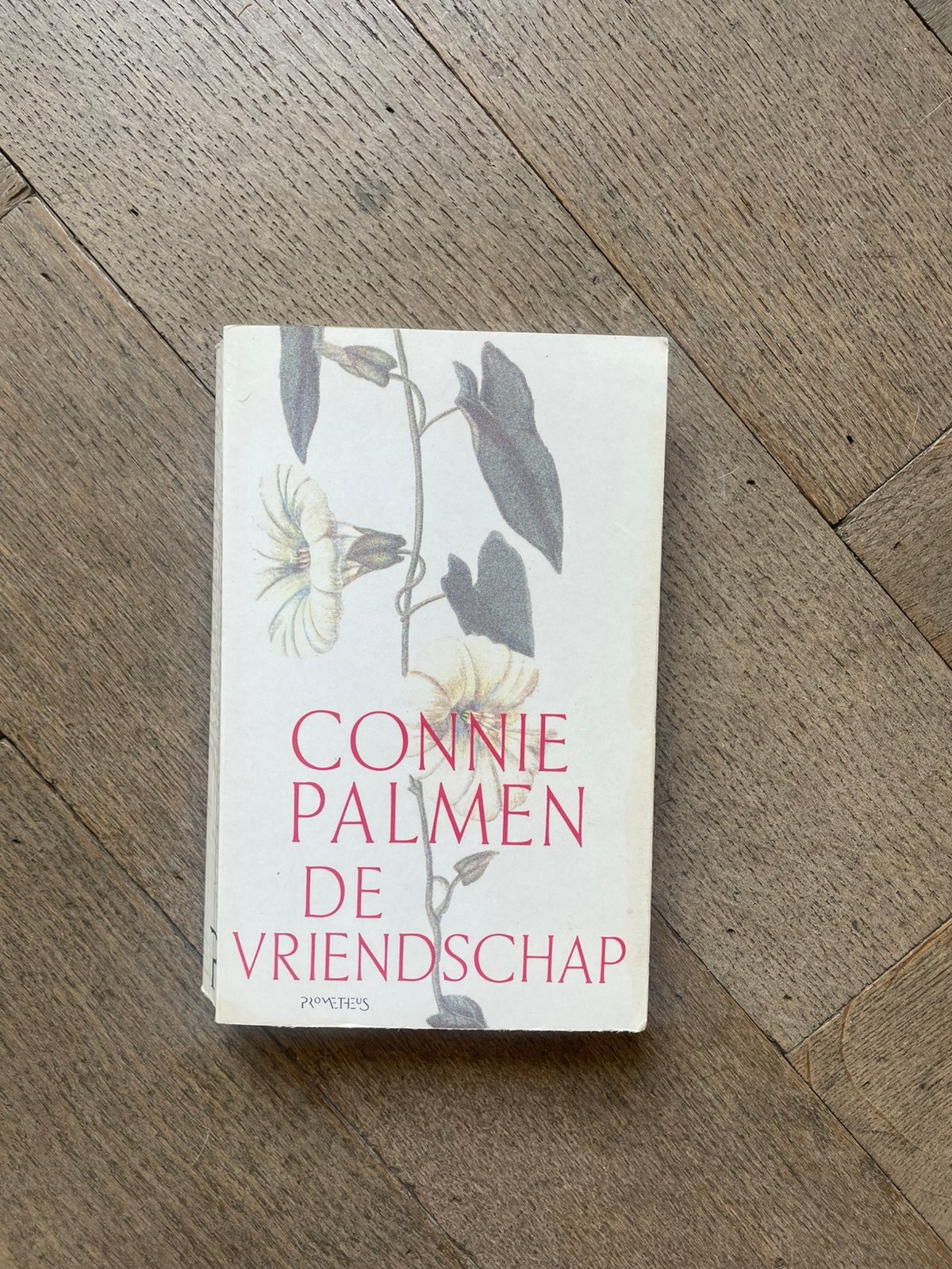 Connie palmen de vriendschap boek, Ophalen of Verzenden, Zo goed als nieuw