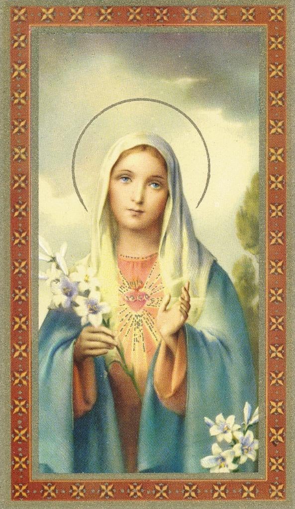 7 Mooie devotieprentjes Maria - Christus uitg. FB, Verzenden, Zo goed als nieuw, Kaart of Prent, Christendom | Katholiek