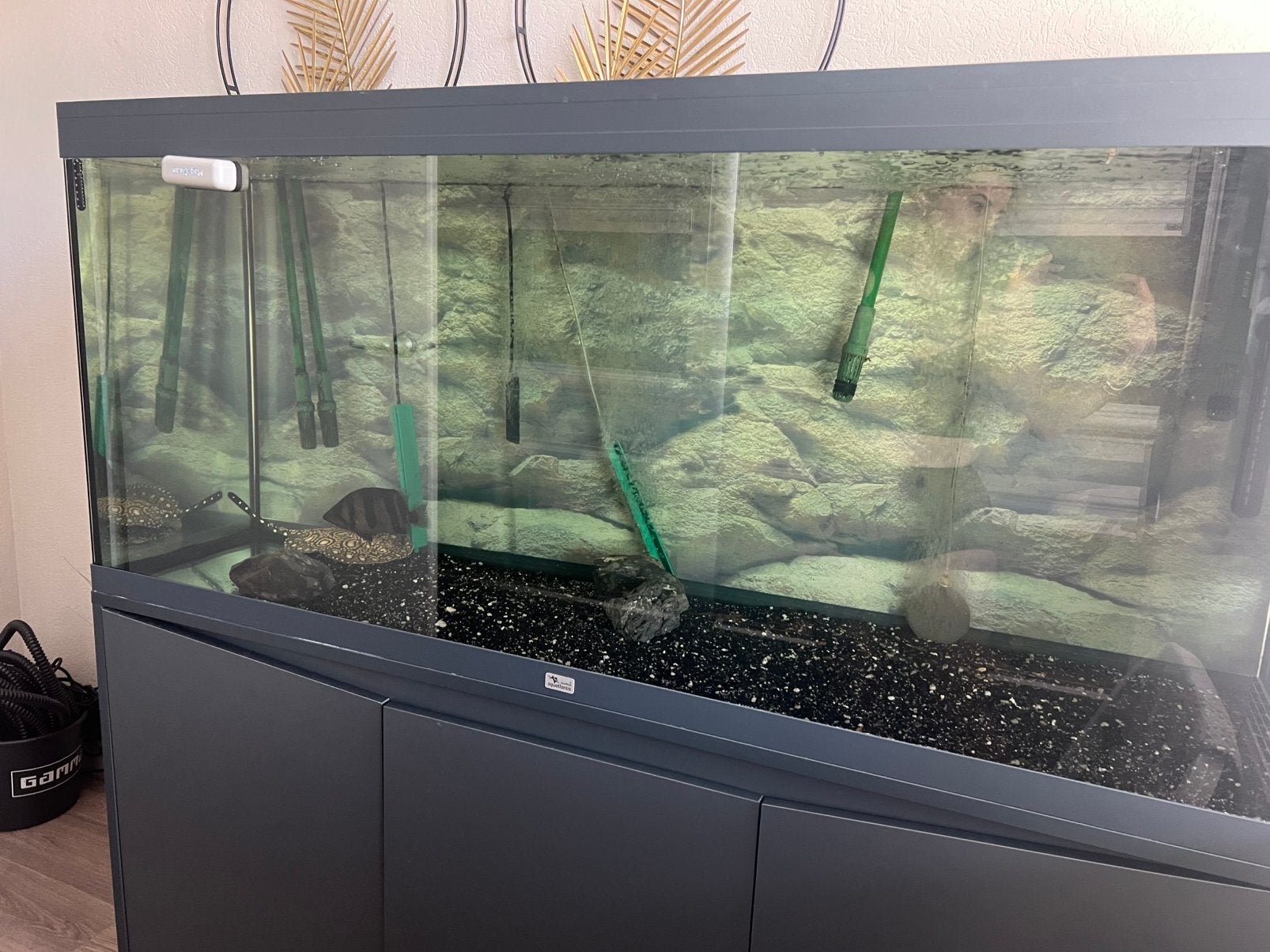 Aquatlantis 450l, Ophalen, Zo goed als nieuw, Leeg aquarium