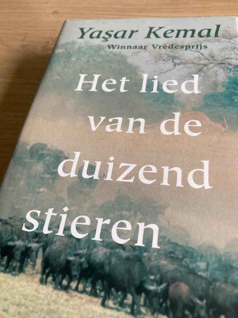 Boek Yasar Kemal, Ophalen of Verzenden, Gelezen