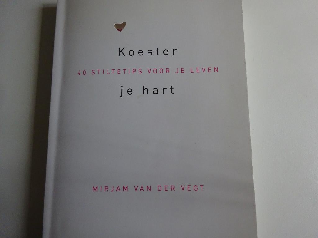 MIRJAM VAN DER VEGT - KOESTER JE HART, Ophalen of Verzenden, Gelezen, Christendom | Protestants