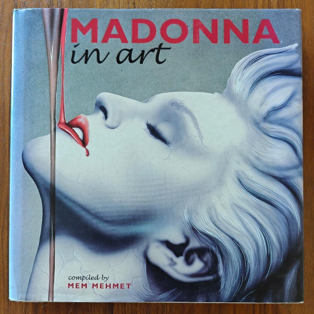 kunstboek Madonna in Art, Ophalen of Verzenden, Zo goed als nieuw, Overige onderwerpen