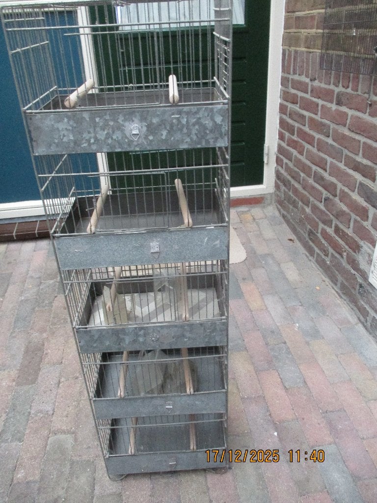 5 dlg. broedkooi      metaal, Dieren en Toebehoren, Vogels | Hokken en Kooien, Ophalen, Zo goed als nieuw, Metaal, Vogelkooi