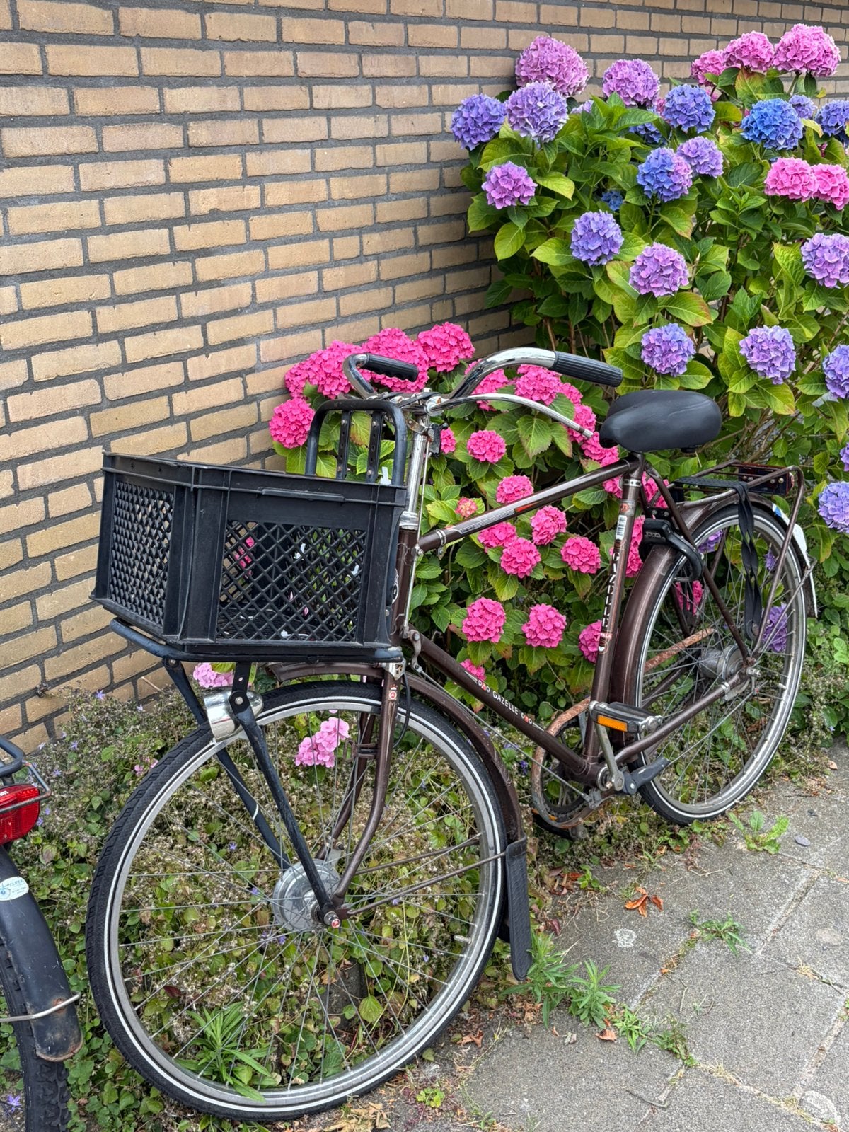 Vintage heren fiets, Ophalen, Gebruikt, Versnellingen, 50 tot 53 cm