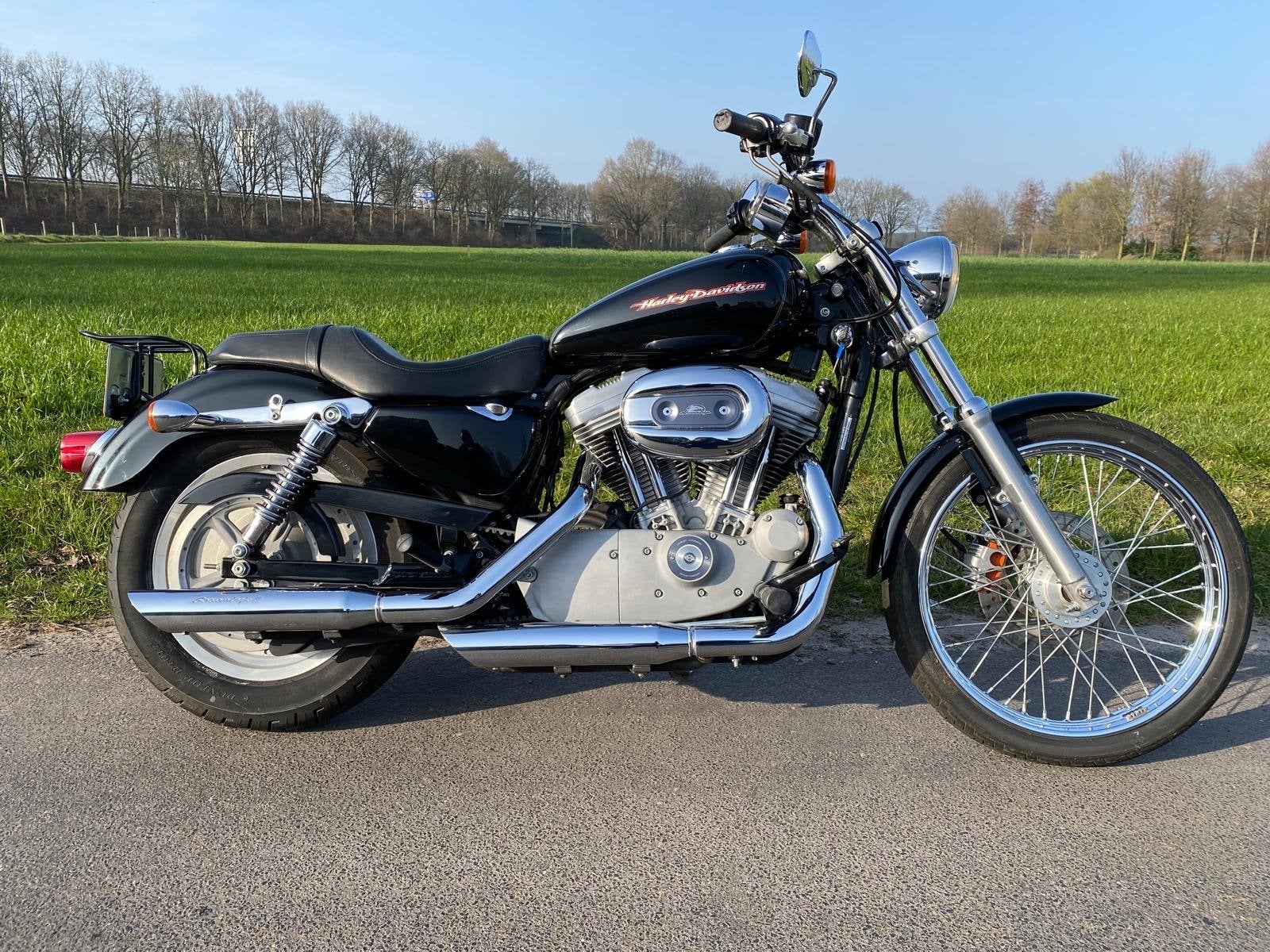 Harley Davidson XL 883 Custom  Chopper., 2 cilinders, Gebruikt, Particulier, Meer dan 35 kW