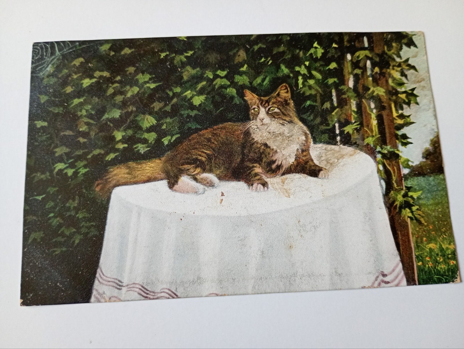 Fantasiekaart Kat 1905, Ophalen of Verzenden, Voor 1920, Gelopen, Hond of Kat