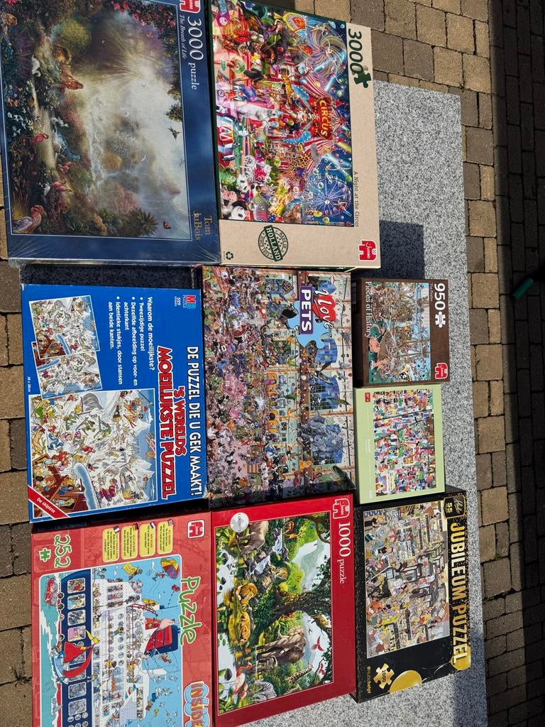 Diverse puzzels: legpuzzels los of alles in 1 koop, Ophalen, Gebruikt, Legpuzzel