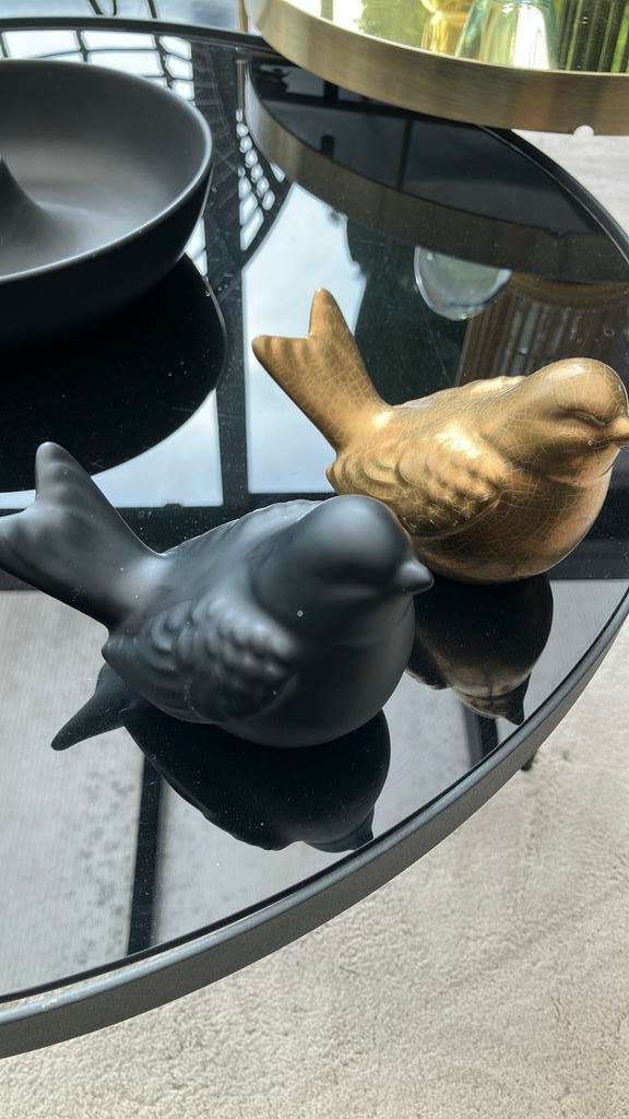 Gouden en zwart vogeltje, Ophalen of Verzenden, Zo goed als nieuw, Dier
