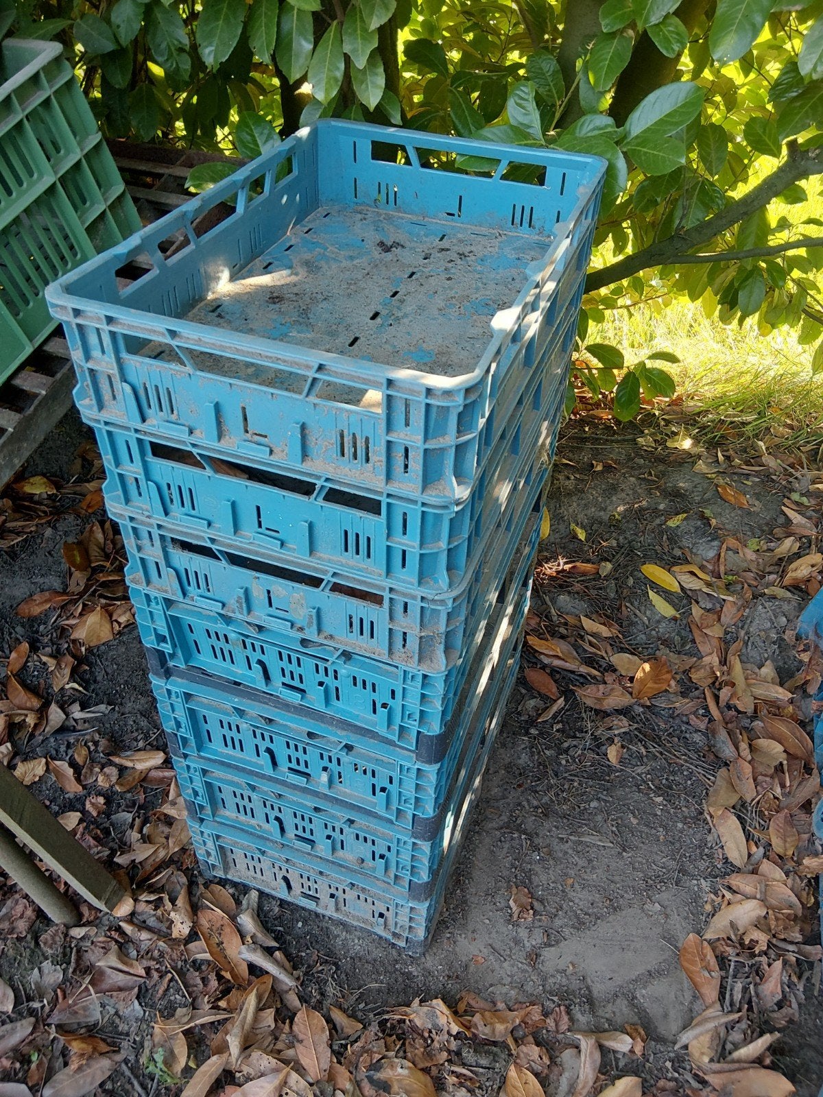 Plastic kratten, Ophalen