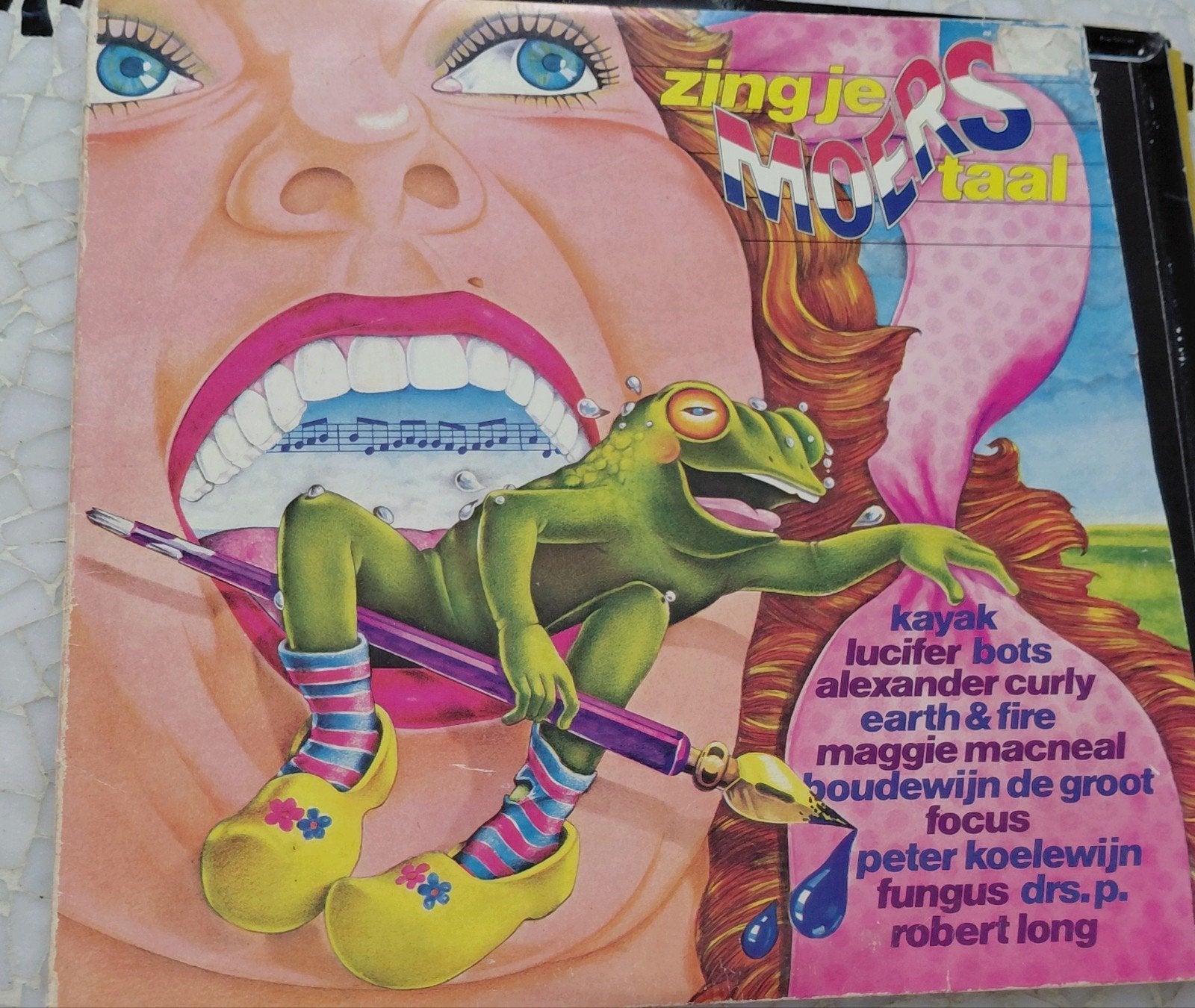 Zing je moerstaal - Diverse artiesten LP bots Kayak Drs.p., LP, Gebruikt, Pop, Ophalen of Verzenden