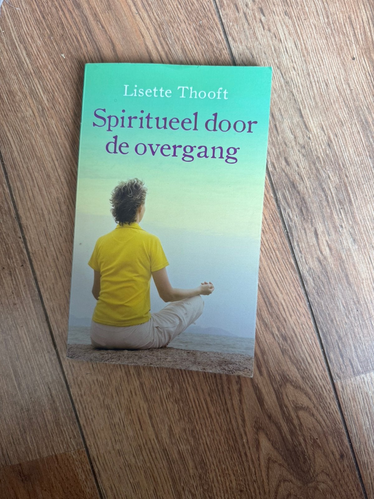 Spiritueel door de overgang - Lisette Thooft, Boeken, Ophalen of Verzenden, Zo goed als nieuw