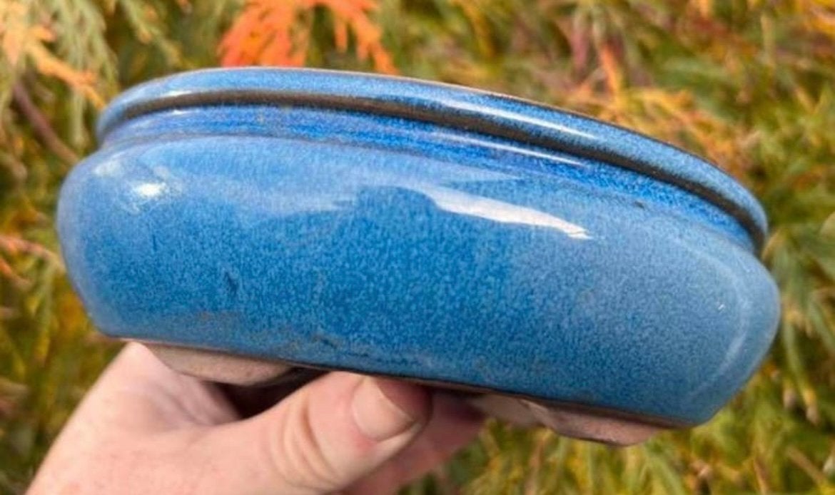 Bonsai schaal blauw geglazuurd aardewerk 16,4x13,8x5,2, Tuin en Terras, Ophalen of Verzenden, Zo goed als nieuw, Overige vormen