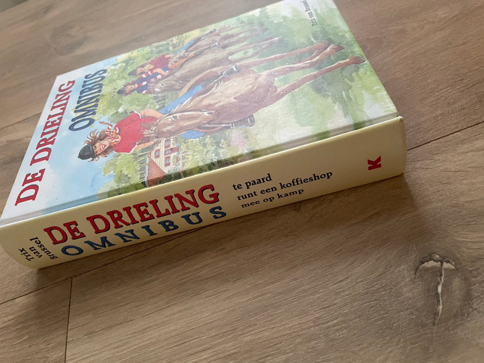 Omnibus De Drieling, Ophalen of Verzenden, Gelezen