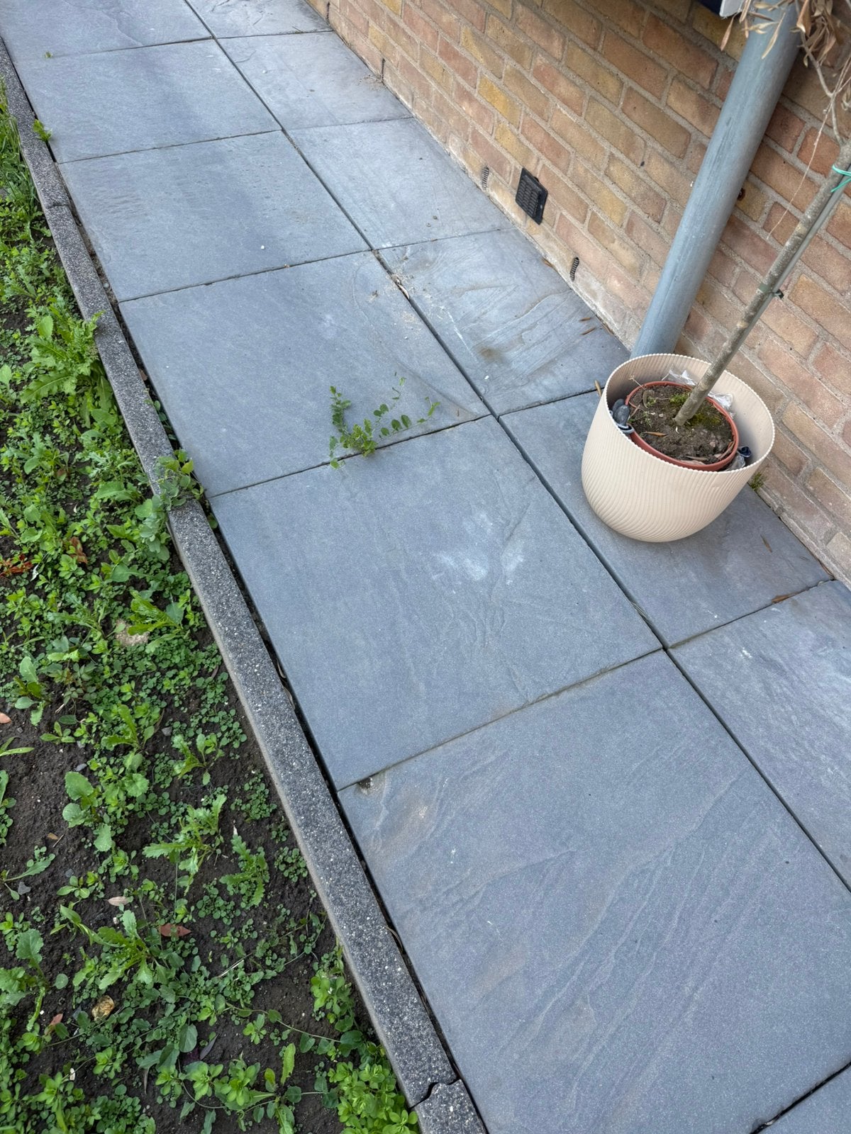20 grijze tegels 60x60, Tuin en Terras, Tegels en Klinkers, Ophalen, Gebruikt, Beton, Terrastegels