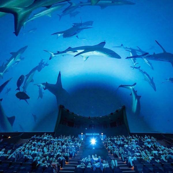 Museon-Omniversum 2e ticket gratis, Drie personen of meer, Kortingsbon