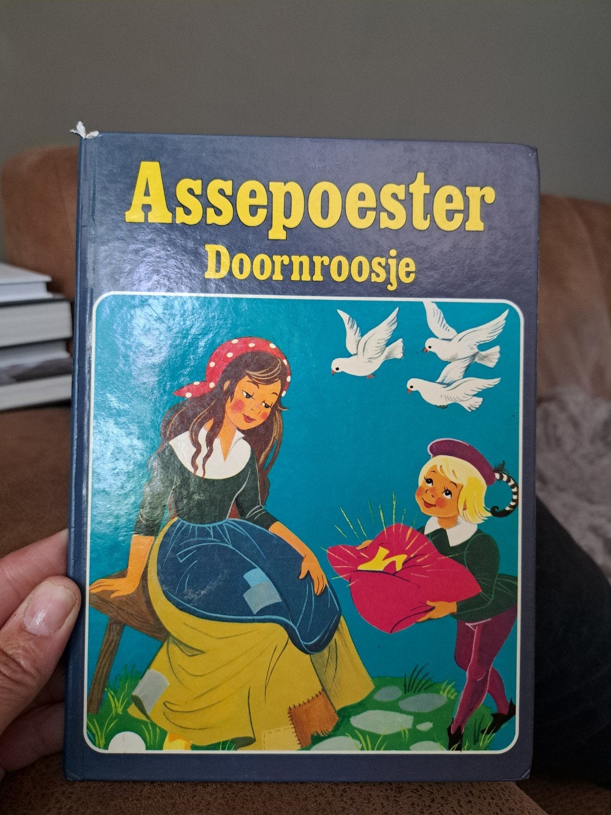 Assepoester Doornroosje - Klassiek sprookjesboek, Boeken, Sprookjes en Fabels, Ophalen of Verzenden, Gelezen, Onbekend
