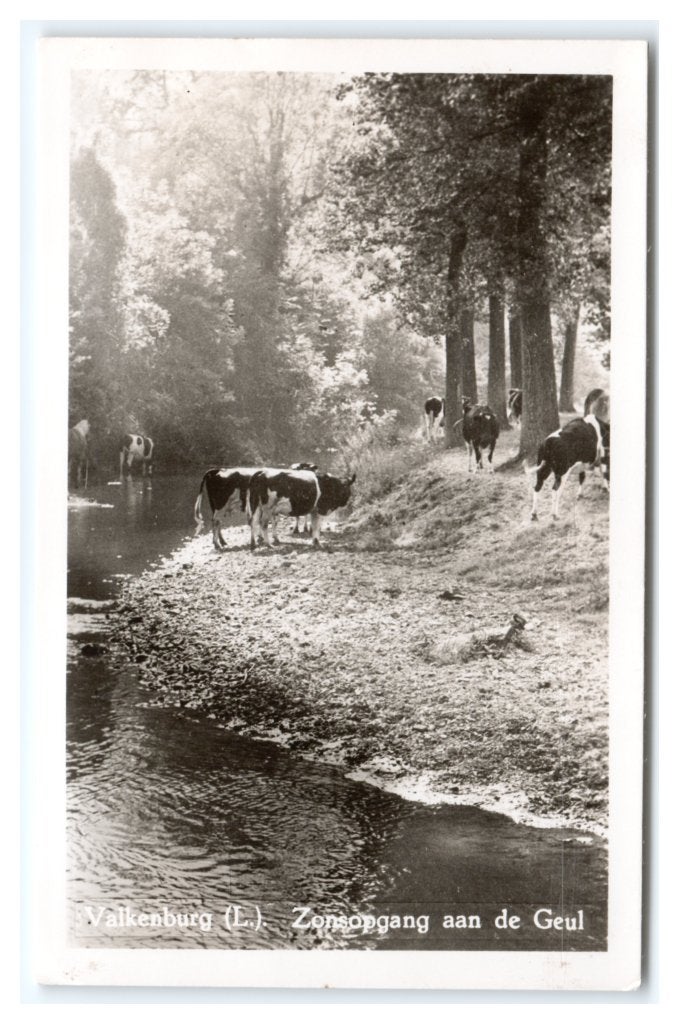 Valkenburg, Zonsopgang aan de Geul, Ophalen of Verzenden, 1940 tot 1960, Ongelopen, Limburg