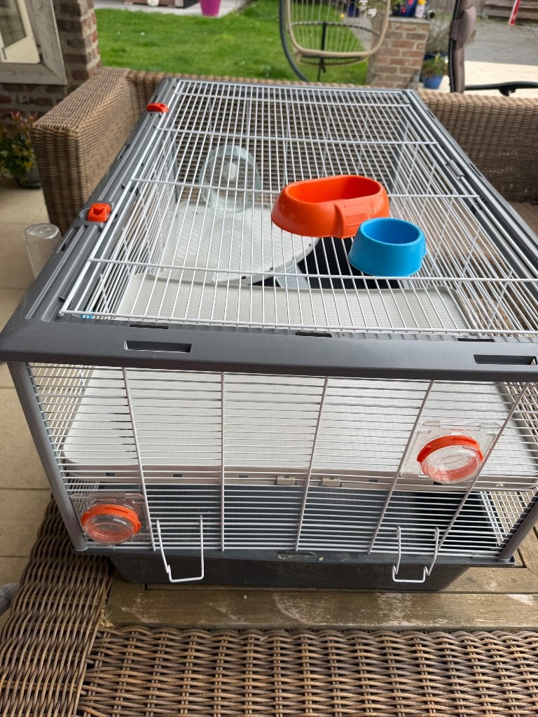 Hamsterkooi, Dieren en Toebehoren, Minder dan 60 cm, Kooi, Gebruikt, Ophalen of Verzenden