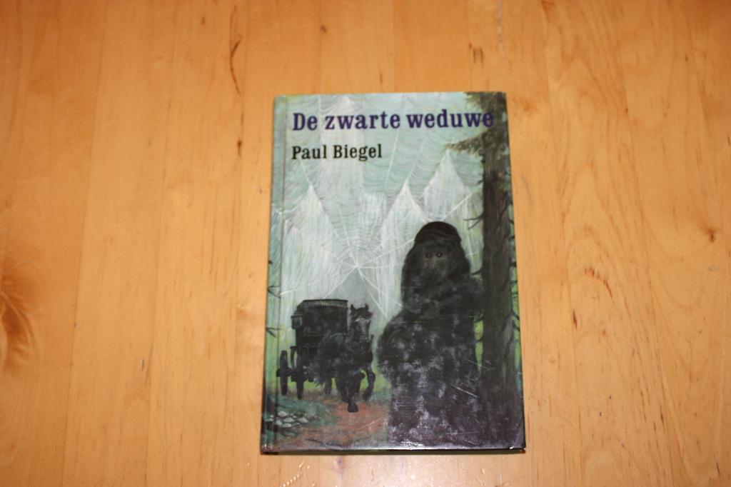 De zwarte weduwe, Paul Biegel hardcover, Ophalen of Verzenden, Gelezen, Paul Biegel, Fictie algemeen