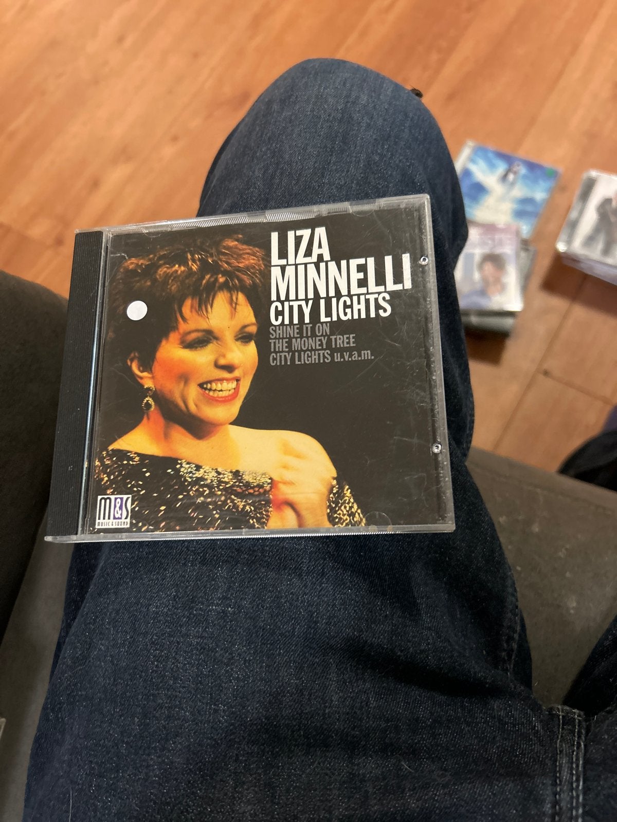 Liza Minnelli - City Lights CD, Cd's en Dvd's, Gebruikt, Pop, Ophalen of Verzenden, Inclusief doosje
