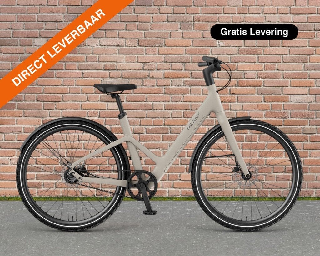 Reany W1 Pro FirstEdition 360Wh 47cm Dames Adviesprijs: 3499, Fietsen en Brommers, Elektrische fietsen, Nieuw, Overige merken