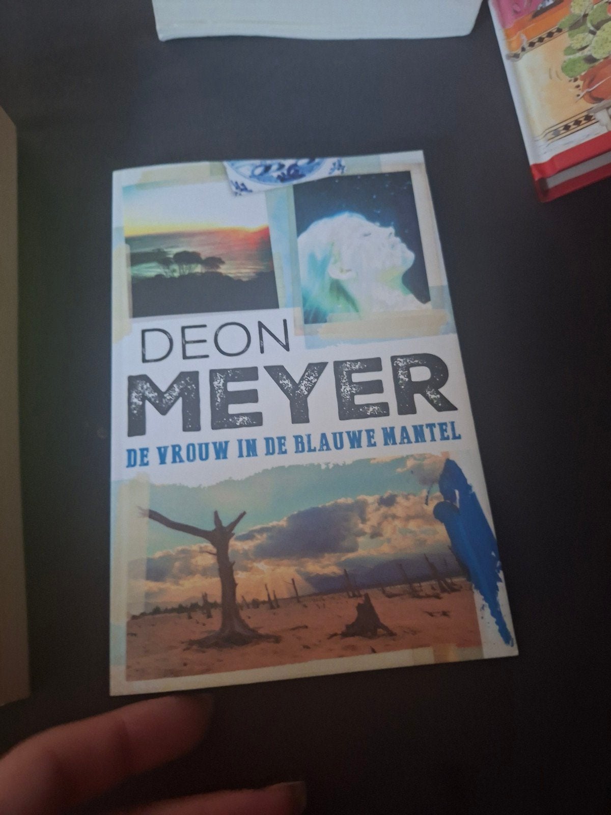 De Vrouw in de Blauwe Mantel - Deon Meyer, Boeken, Thrillers, Zo goed als nieuw, Wereld overig, Ophalen of Verzenden