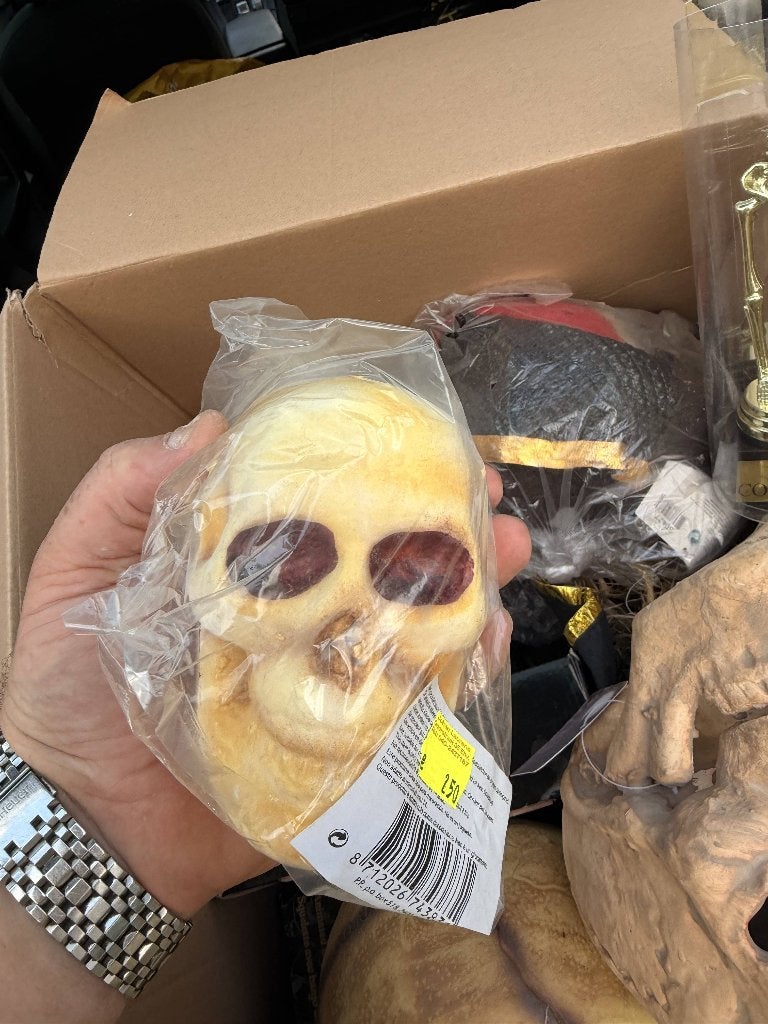 TE KOOP SCHEDEL M, Ophalen of Verzenden, Nieuw, Versiering, Halloween of Griezel