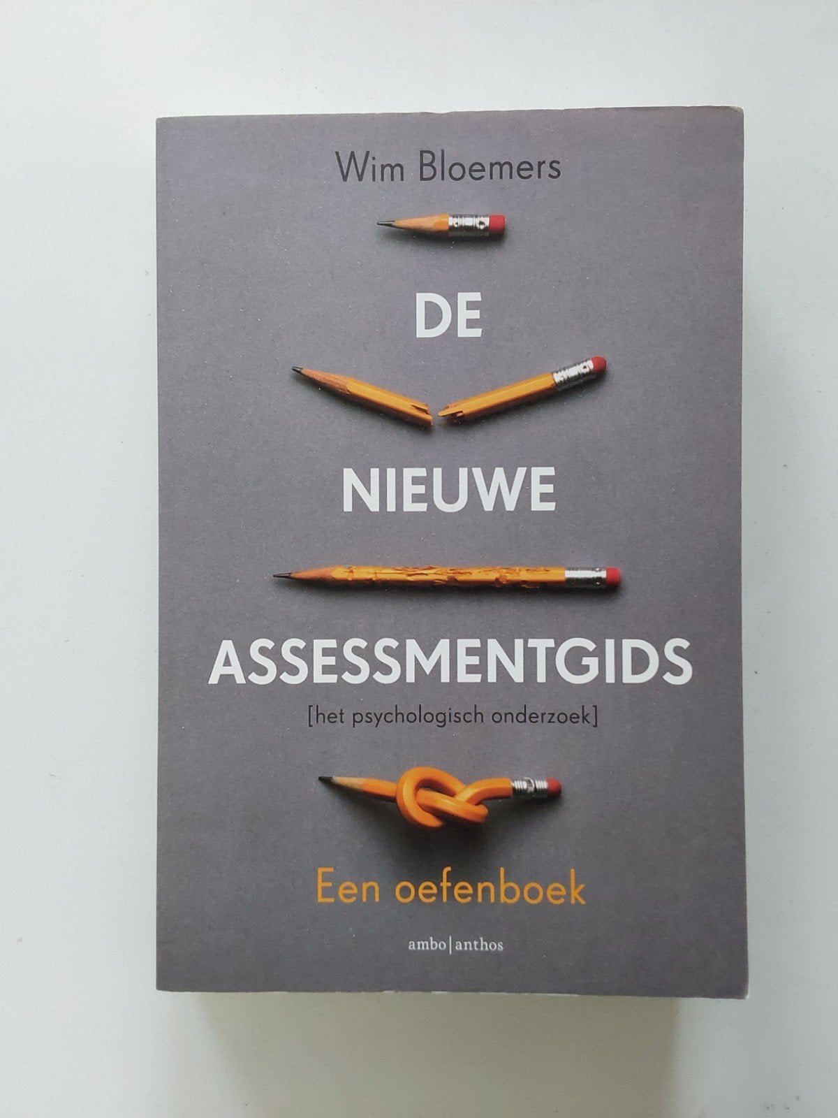 De Nieuwe Assessmentgids / door Wim Bloemers, Boeken, Ophalen of Verzenden, Gelezen, HBO, Wim Bloemers