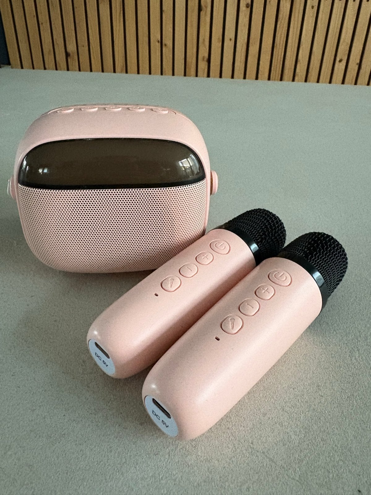 Draagbare Karaoke Set - Roze Speaker met 2 Microfoons, Ophalen, Nieuw, Complete set