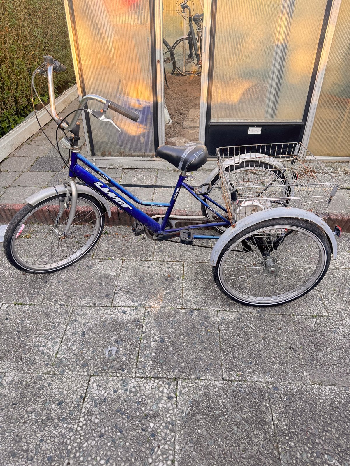 Blauwe driewieler met mand - Ideaal voor stabiliteit, Fietsen en Brommers, Fietsen | Driewielfietsen, Ophalen of Verzenden, Gebruikt