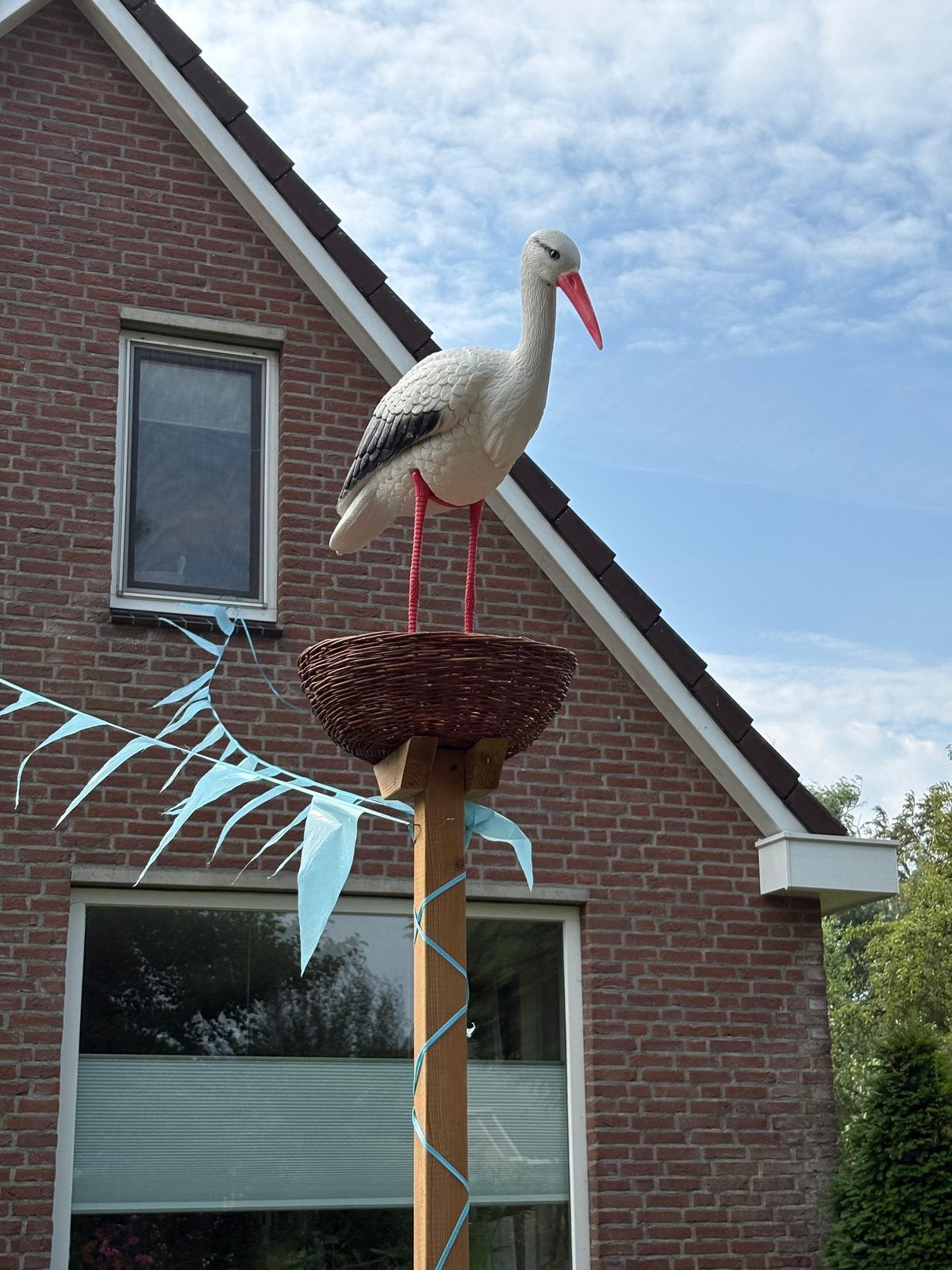 Geboorte ooievaar te huur, Ophalen