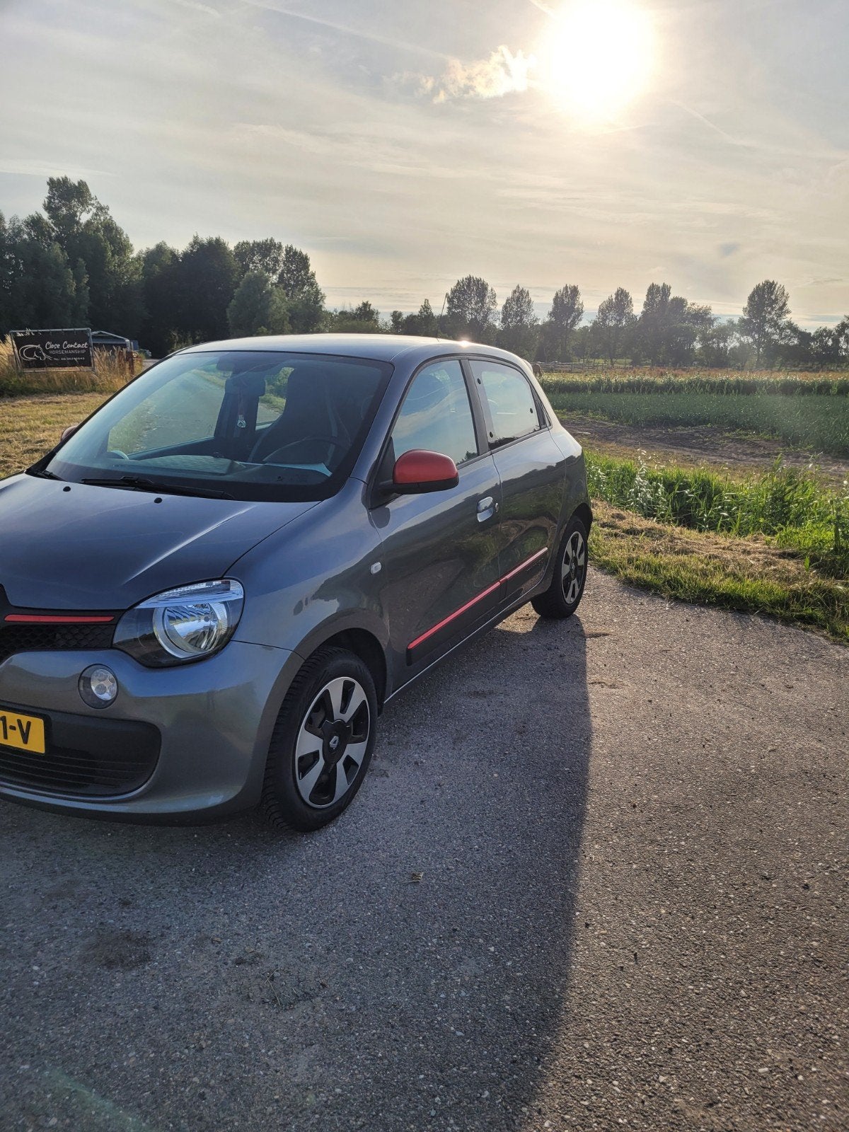 Renault Twingo 1.0 SCe 70pk S&S 2015 Grijs, Voorwielaandrijving, Euro 6, 840 kg, 4 stoelen