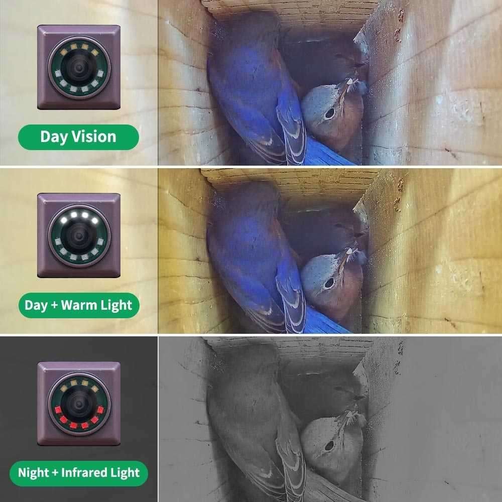 Vogelhuis wifi camera - greenbackyard, Ophalen of Verzenden, Nieuw