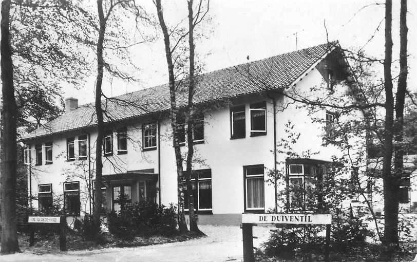 377-625-019 Nunspeet De Duiventil, Verzenden, Voor 1920, Gelderland