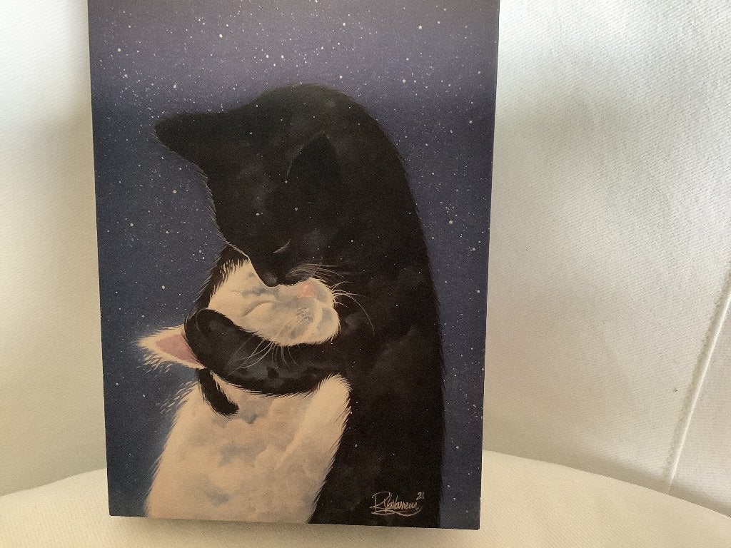 Kibifufu puzzel puzzle zwarte witte kat nieuw 500p, Felinoo, Ophalen of Verzenden, 500 t/m 1500 stukjes, Nieuw, Legpuzzel