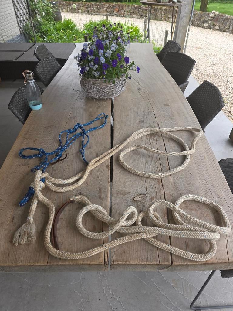 Touwhalster met teugels en leadrope., Ophalen of Verzenden