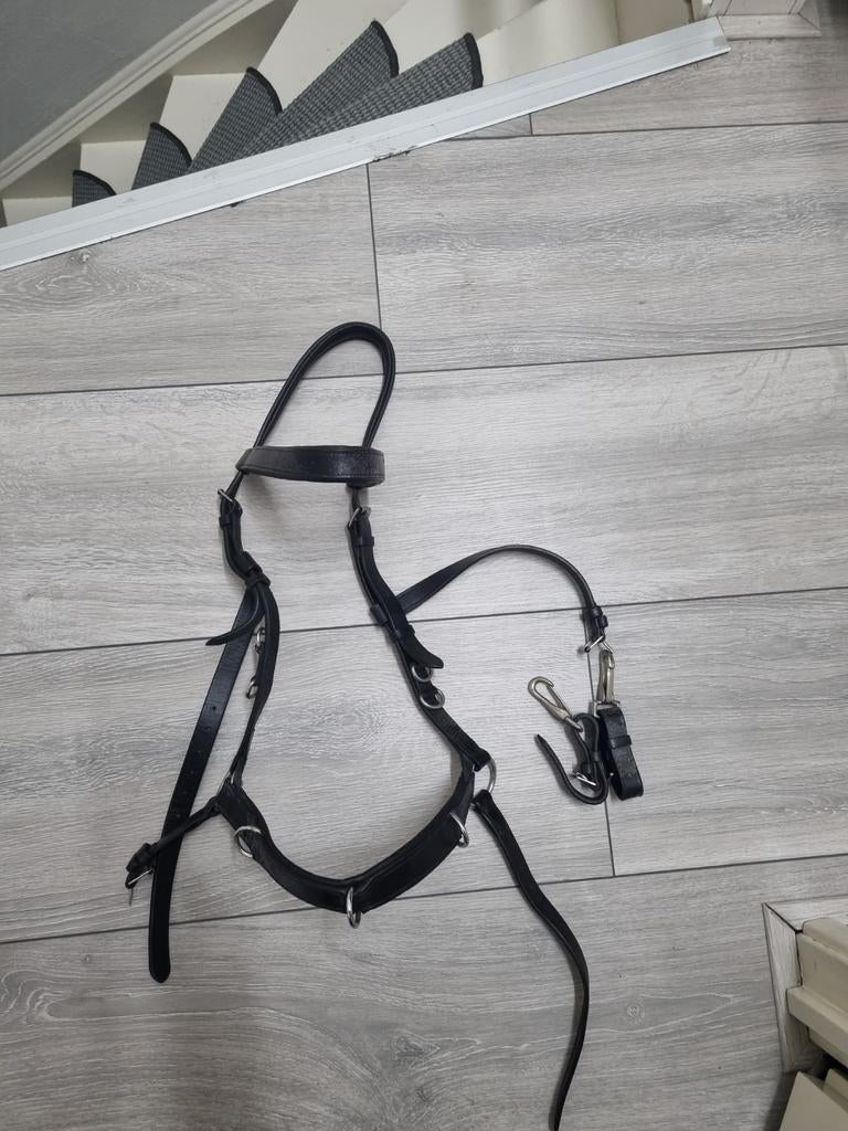 Leren kaptoom harry horse maat full, Dieren en Toebehoren, Paarden en Pony's | Hoofdstellen en Tuigage, Ophalen