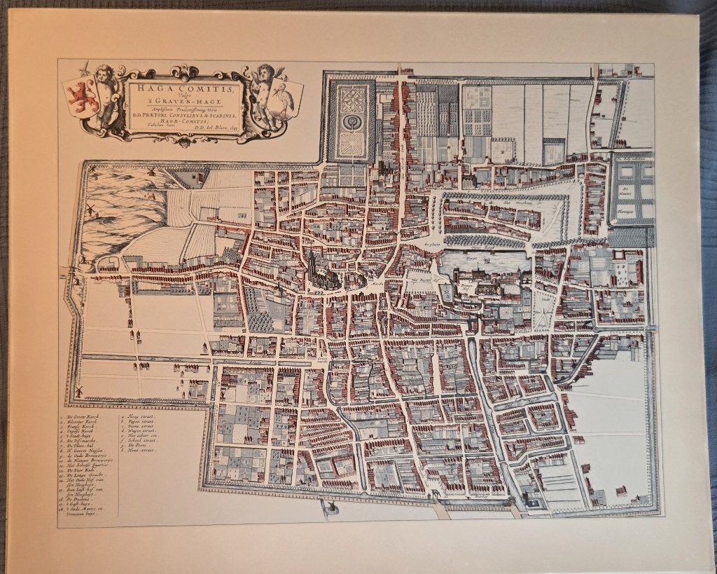 Joh. Blaeu, ’s Gravenhage, 1649 reproductie, Boeken, Voor 1800, Overige typen, Ophalen of Verzenden, Zo goed als nieuw