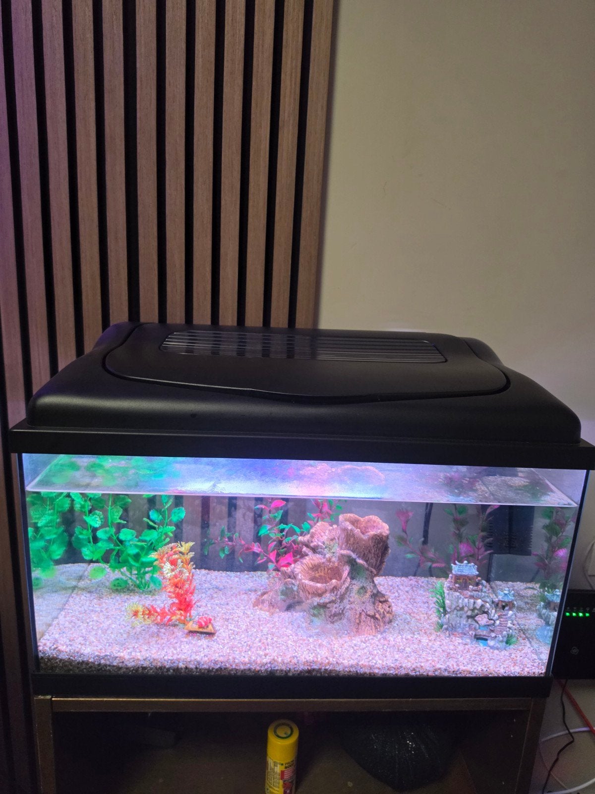 mooie aquarium, Dieren en Toebehoren, Ophalen