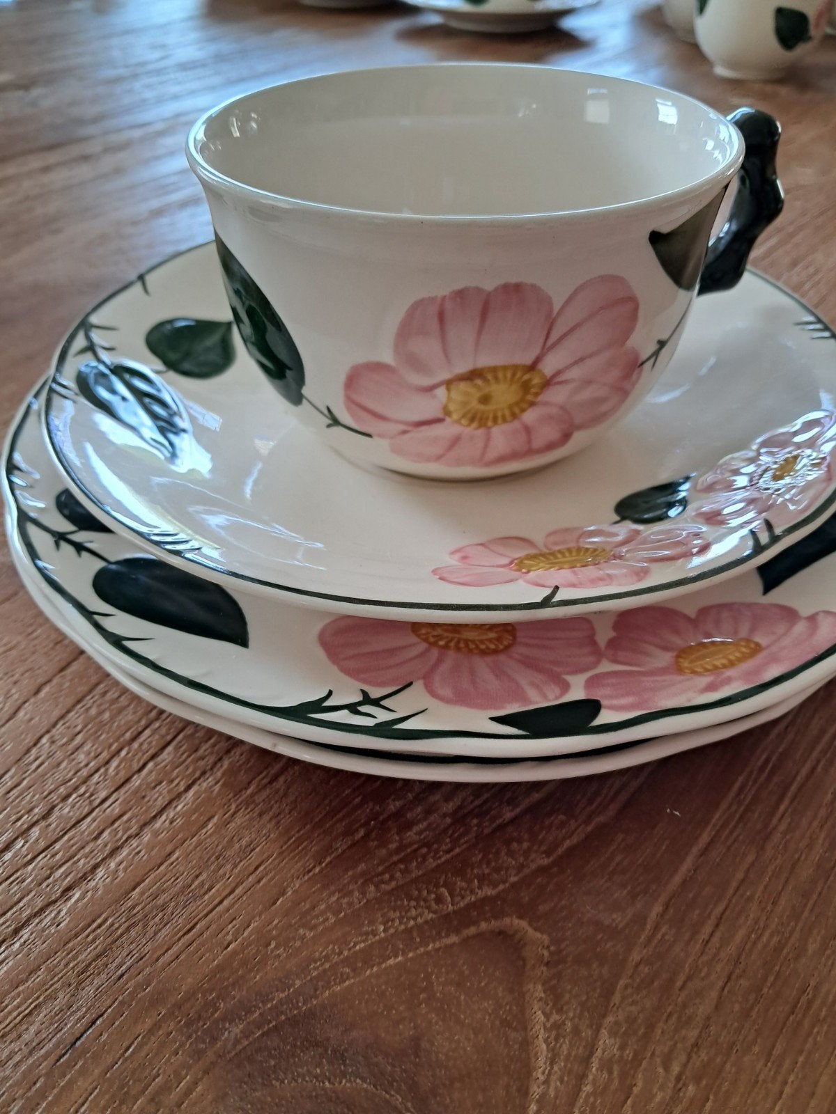 Villeroy en Boch Wild Rose, Huis en Inrichting, Ophalen of Verzenden, Zo goed als nieuw, Overige stijlen, Kop(pen) en/of Schotel(s)