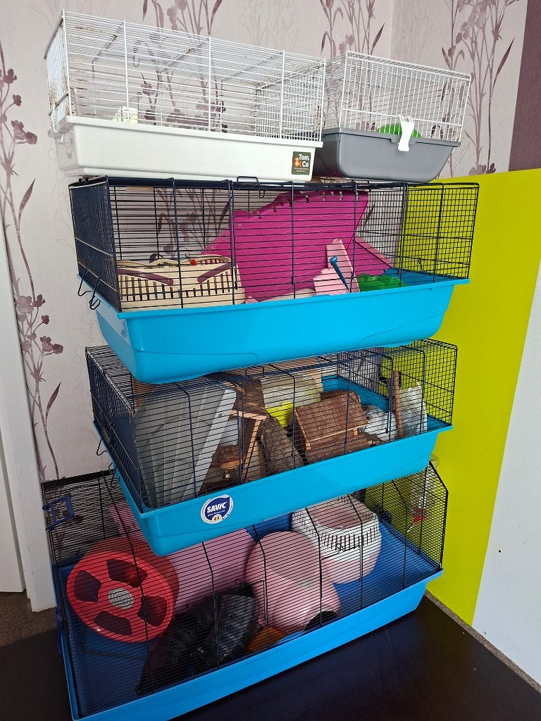 kooi voor hamster, ratjes of muizen, Kooi, Gebruikt, Minder dan 75 cm, Muis