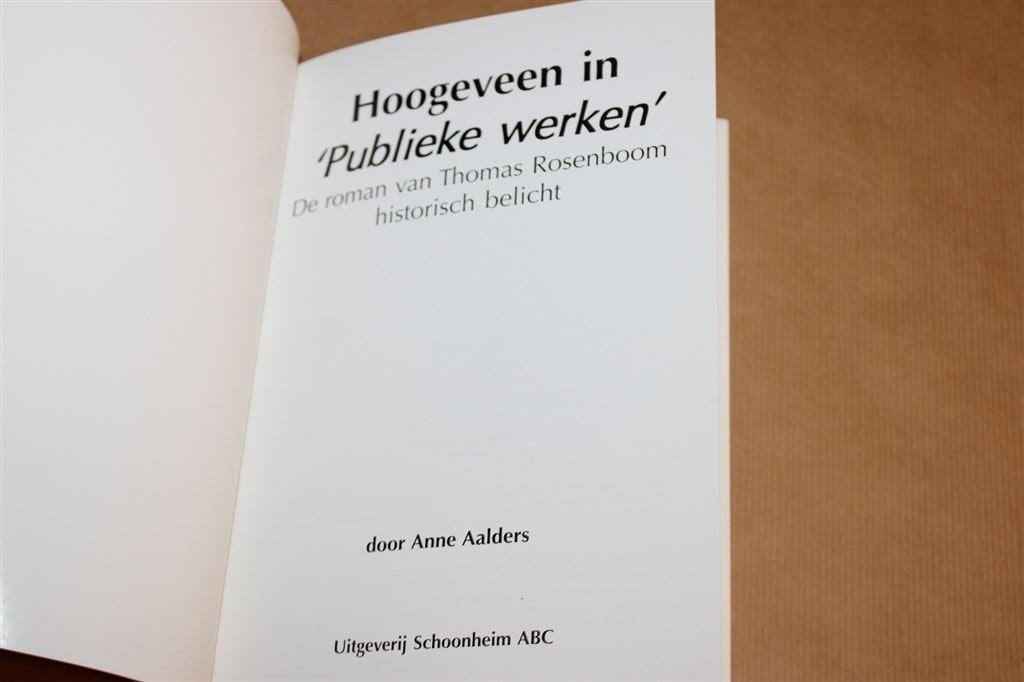 Hoogeveen in Publieke Werken — Rosenboom Historisch Belicht, Boeken, Ophalen of Verzenden, Gelezen