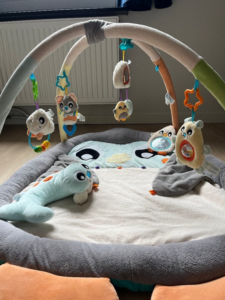 Playgro speelkleed/babygym, Ophalen, Zo goed als nieuw