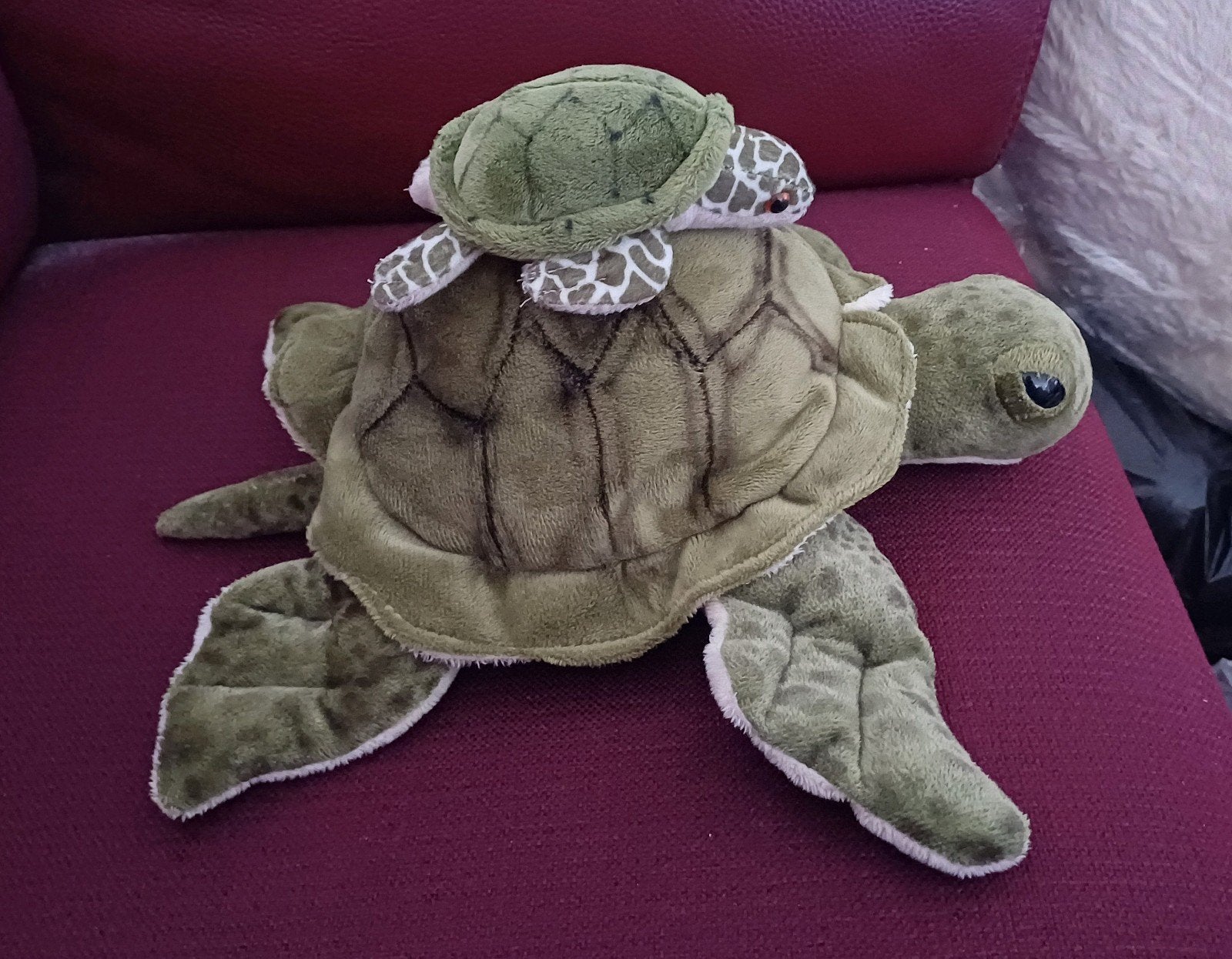 Grote en kleine schildpadden 35 cm en 14 cm, Ophalen, Zo goed als nieuw, Overige typen