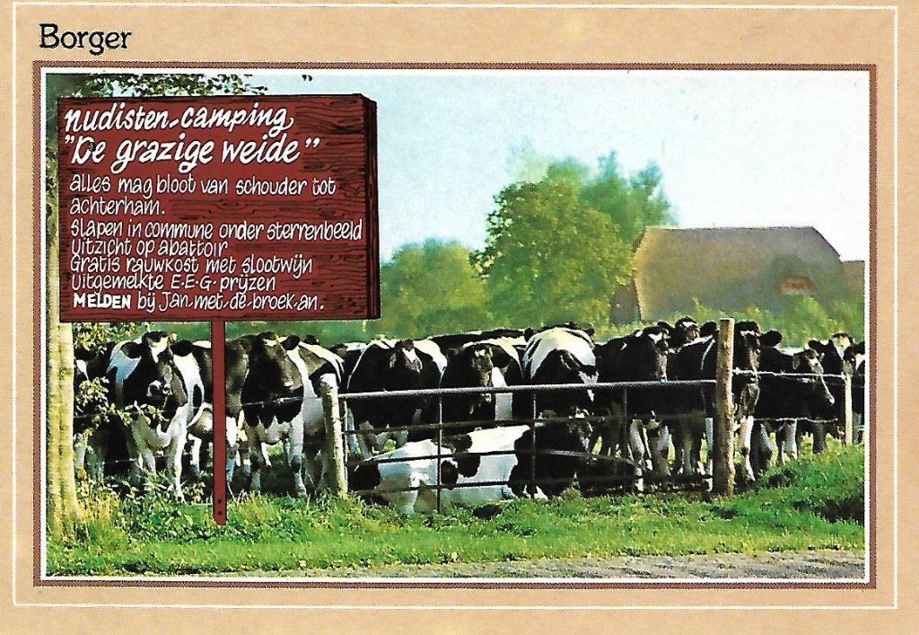 Borger- De Grazige Weide., Ophalen of Verzenden, 1980 tot heden, Ongelopen, Drenthe