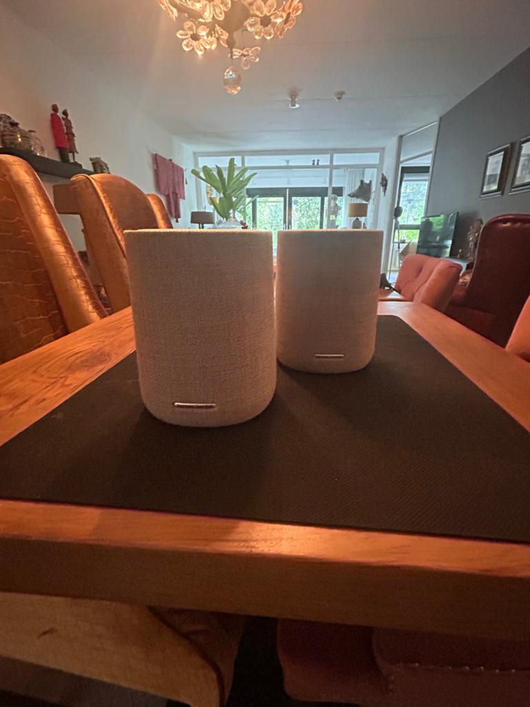 Harman Kardon Citation One Speakers - Google Home