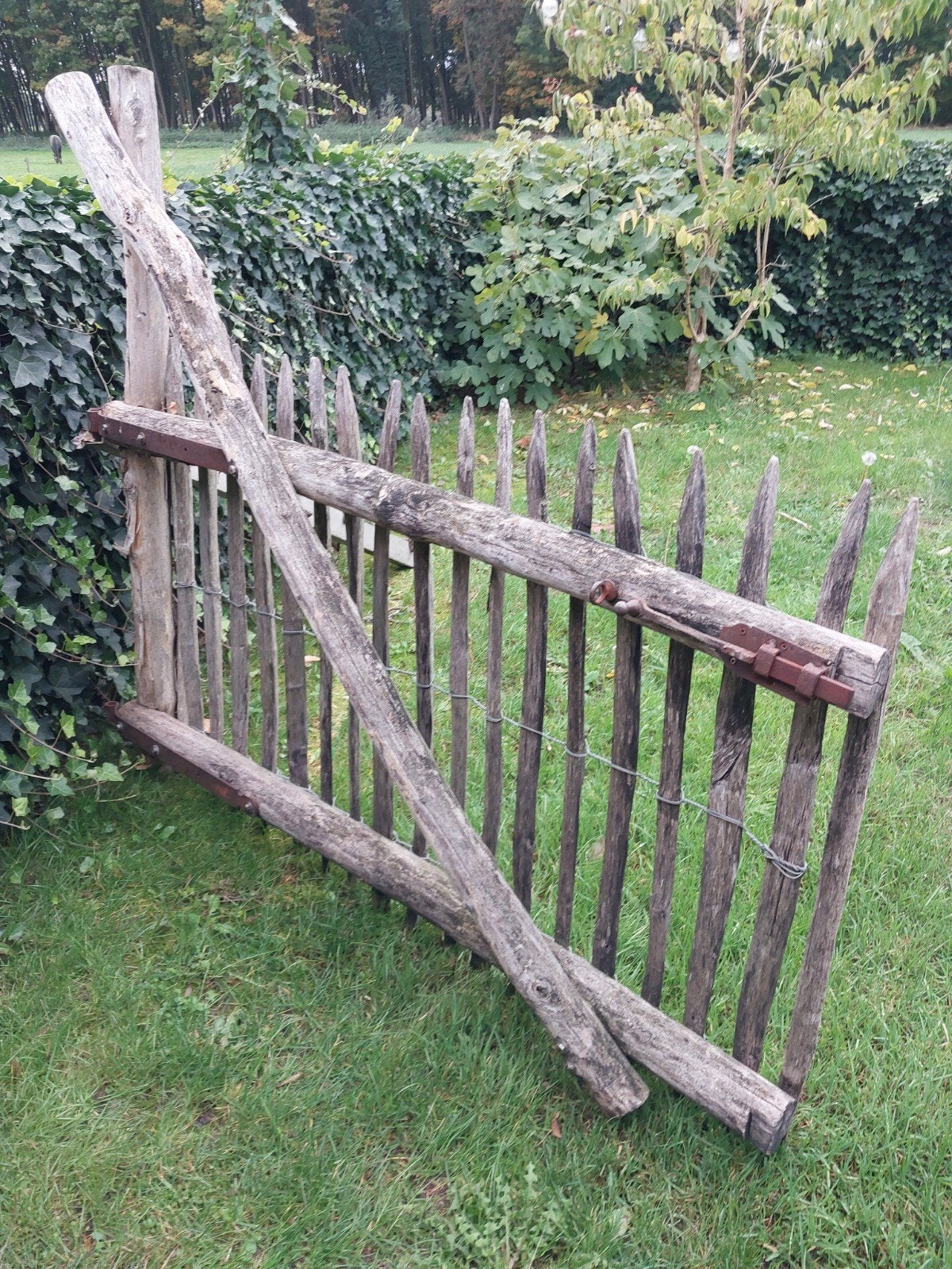 tuinhek/poort., Tuin en Terras, Ophalen, IJzer, Tuinhek