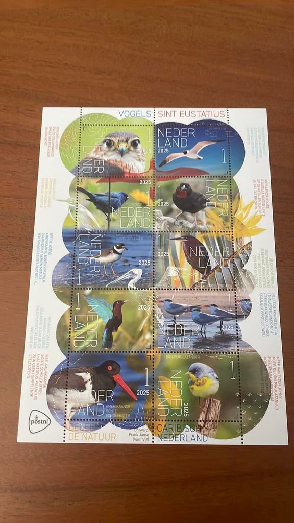 Beleef de natuur 2025 Vogels uit Sint Eustatius, Postzegels en Munten, Postzegels | Nederland, Verzenden, Postfris